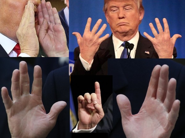 Donald Trump - Hands